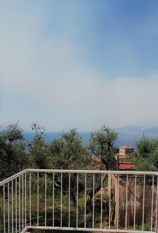 Garden Affittacamere Sorrento
