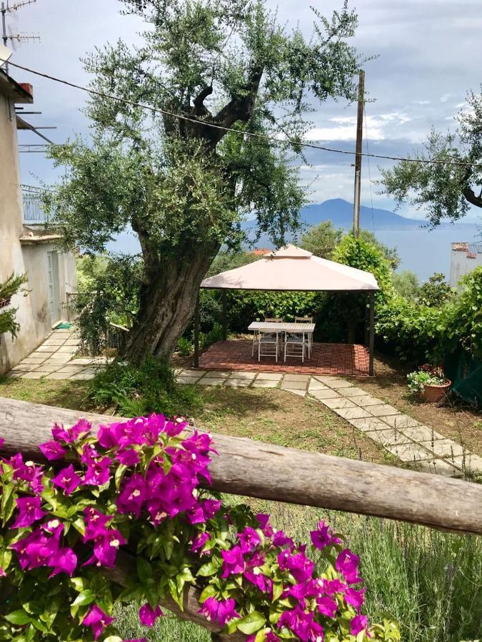 Garden Affittacamere Sorrento